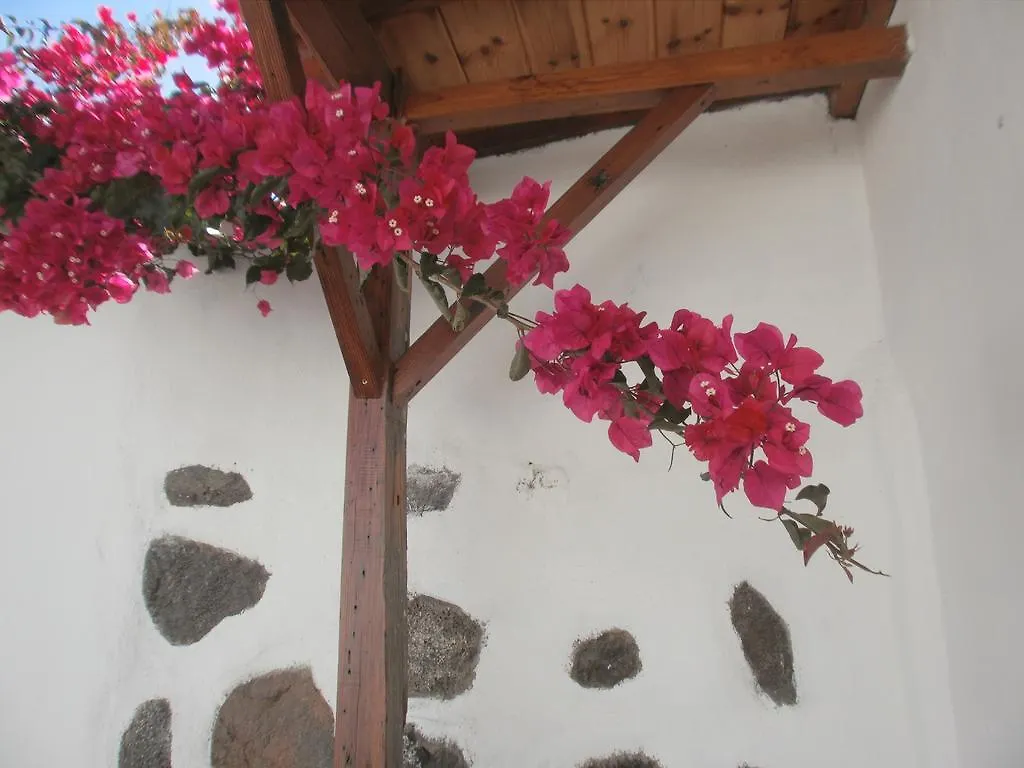 Finca Las Palmeras Icod De Los Vinos Prázdninový dům