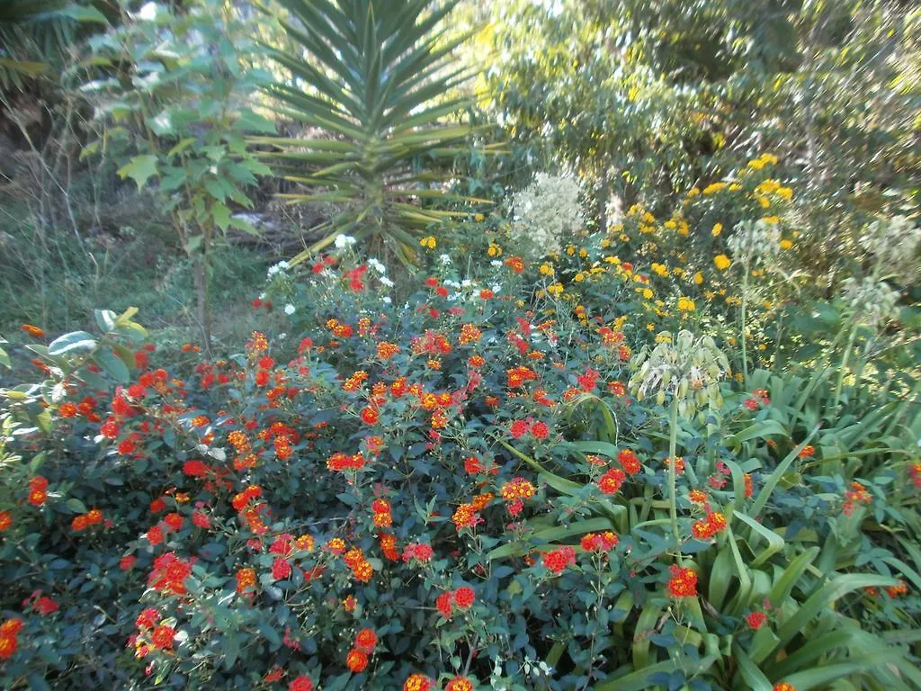 Finca Las Palmeras イコー・デ・ロス・ビノス 別荘