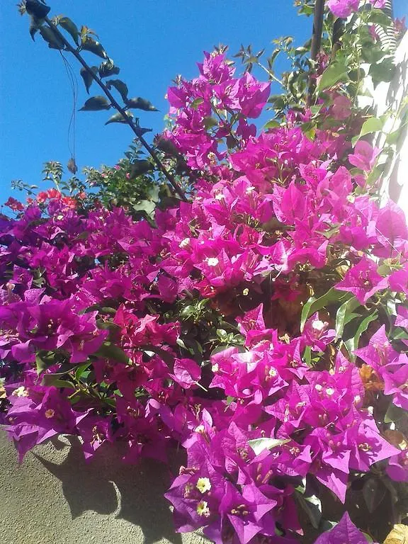 Finca Las Palmeras イコー・デ・ロス・ビノス 別荘