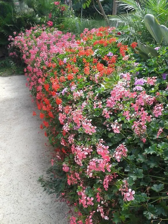 Finca Las Palmeras イコー・デ・ロス・ビノス