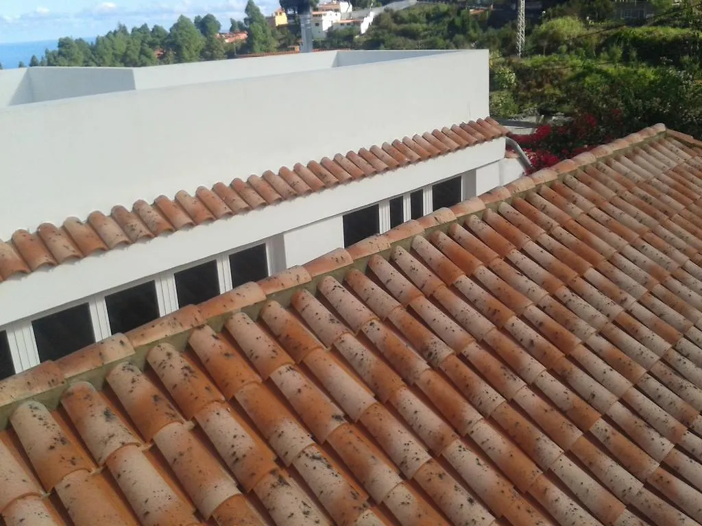 Finca Las Palmeras Icod De Los Vinos Španělsko