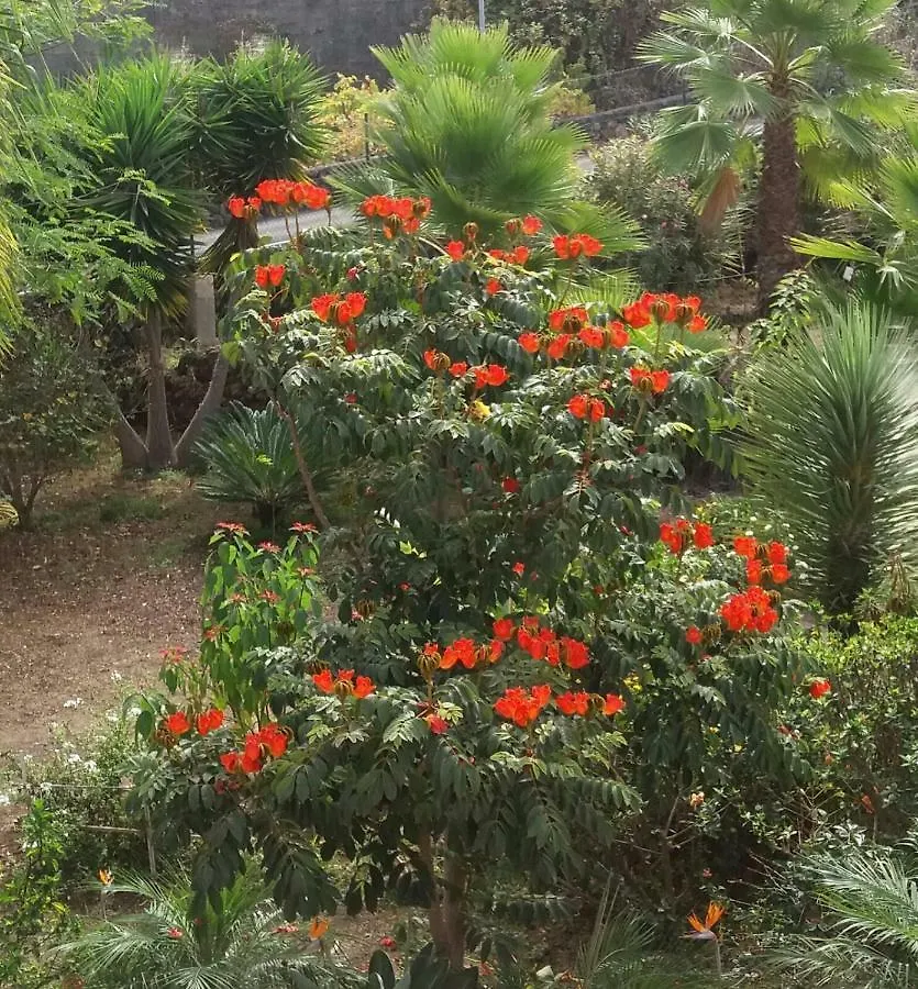 Finca Las Palmeras Icod De Los Vinos 0*,