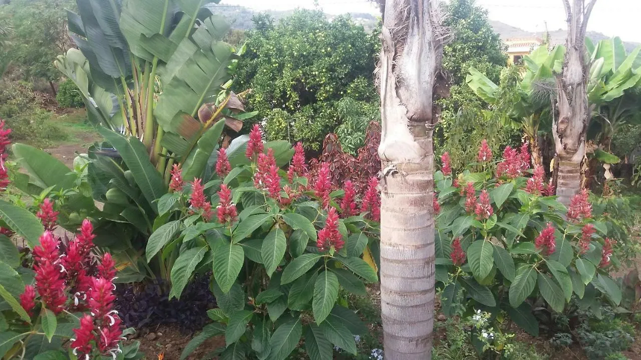 Prázdninový dům Finca Las Palmeras Icod De Los Vinos Španělsko