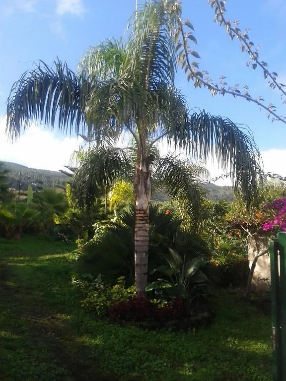 Vakantiehuis Finca Las Palmeras Icod De Los Vinos Spanje