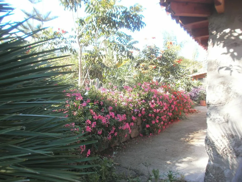Finca Las Palmeras Icod De Los Vinos