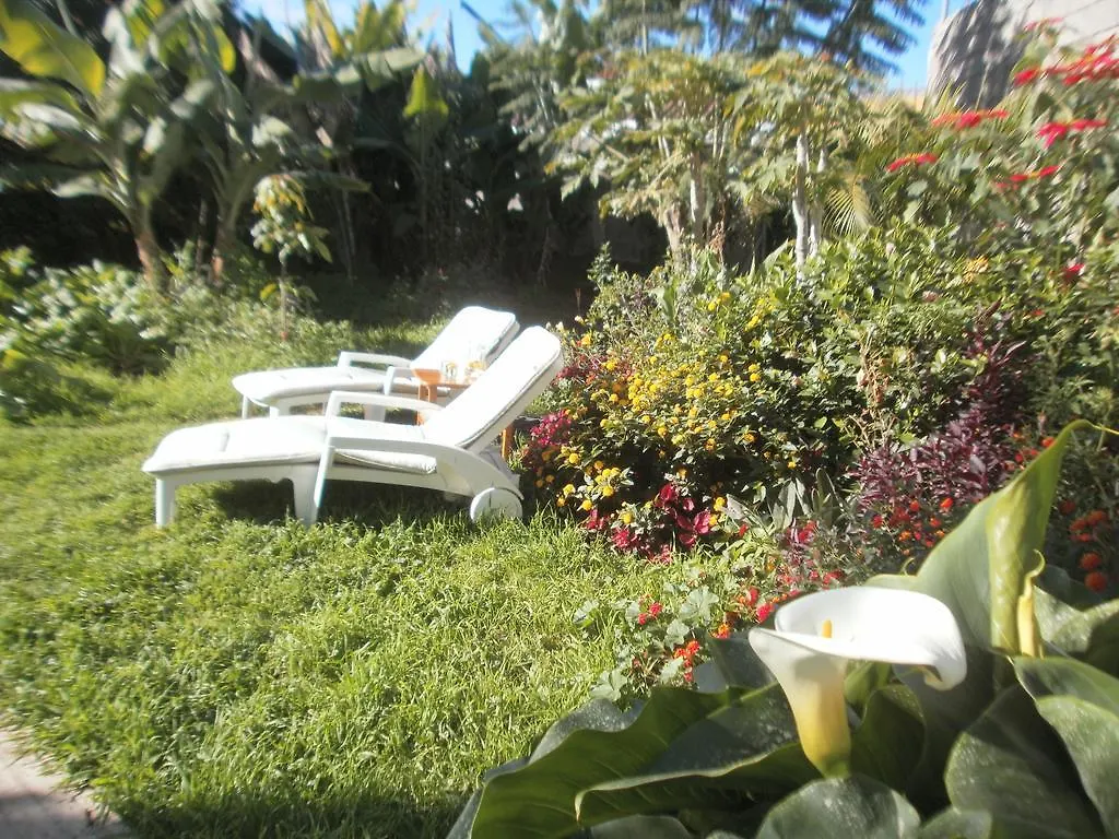Finca Las Palmeras Icod De Los Vinos 0*,