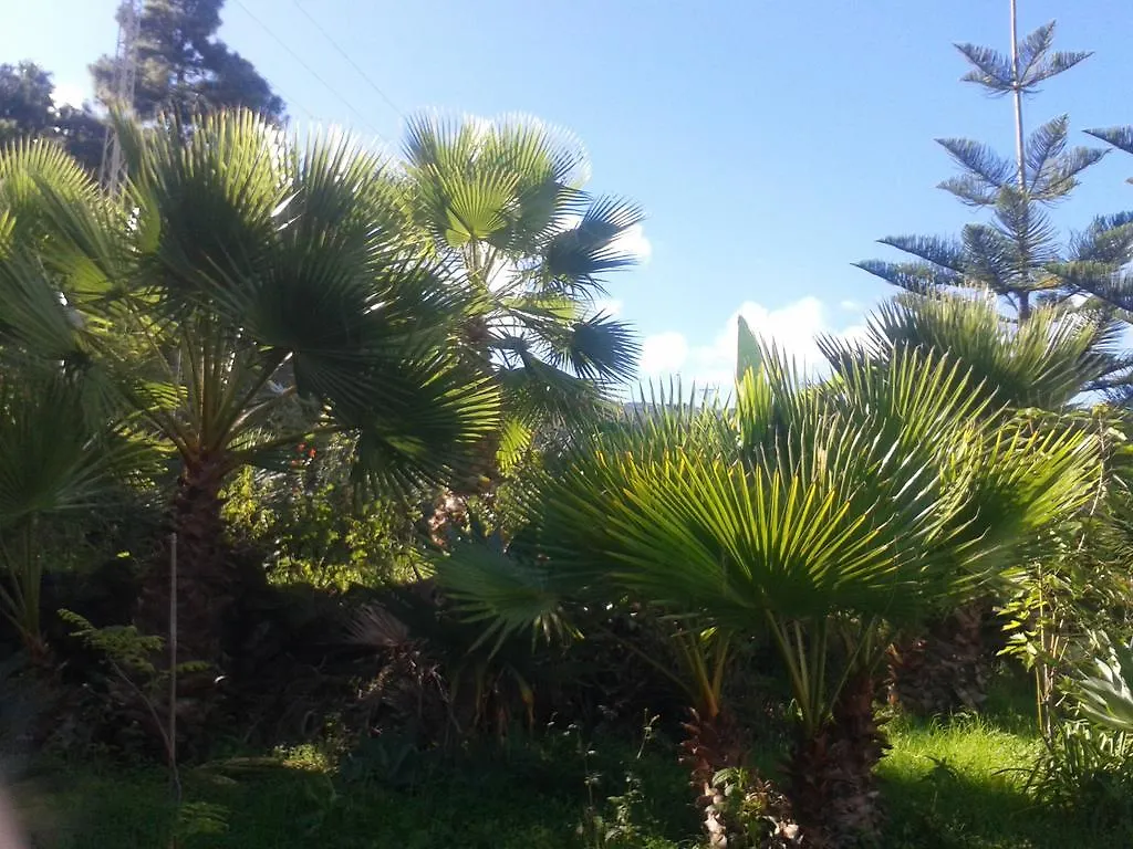 Vakantiehuis Finca Las Palmeras Icod De Los Vinos Spanje